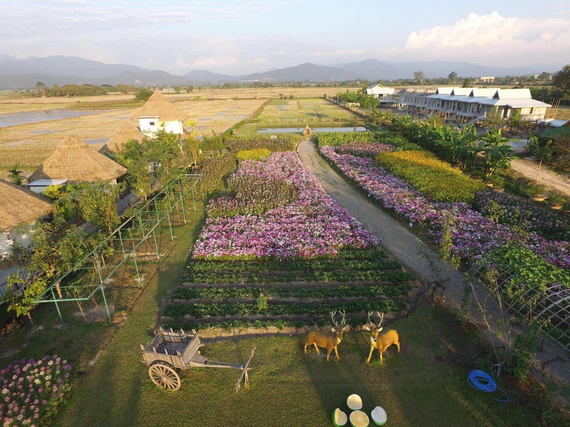 Phusanfah Resort Mae Taeng Exteriér fotografie