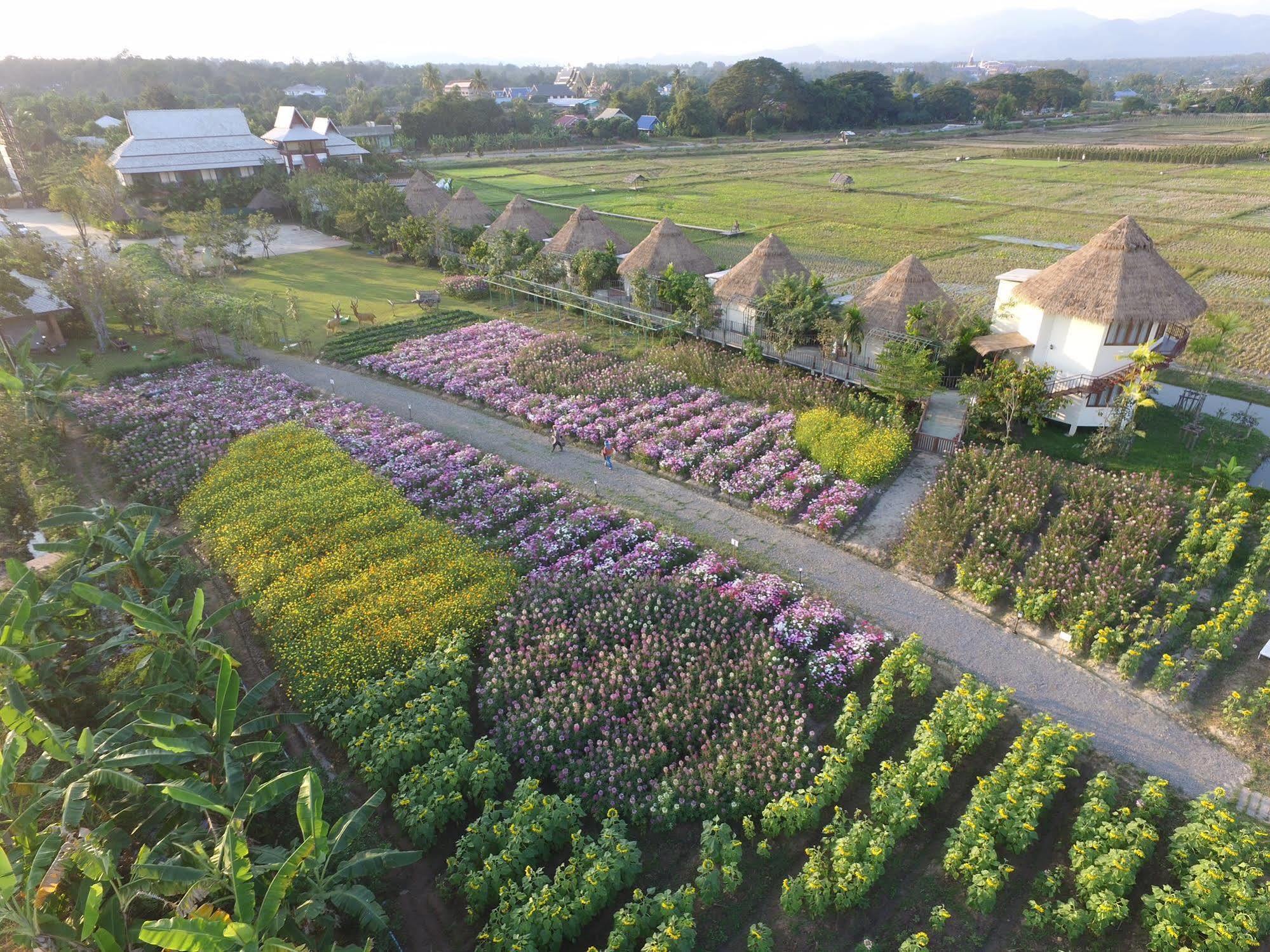 Phusanfah Resort Mae Taeng Exteriér fotografie